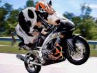cbr